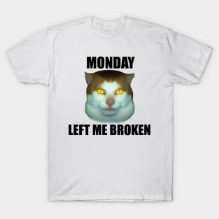 Monday Left Me Broken Cat | Funny Meme T-Shirt | Oddly Specific Shirt | Weird T-Shirt